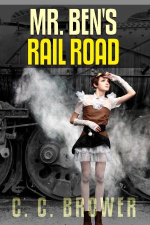 Cover of the book Mr. Ben's Rail Road by Jeroen van Mastbergen