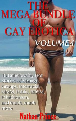Book cover of The Mega Bundle of Gay Erotica: Volume 4