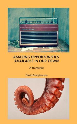 Book cover of Amazing Opportunities Available in Our Town