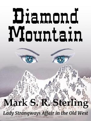 Book cover of Diamond Mountain