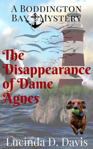 Book cover of The Disappearance of Dame Agnes