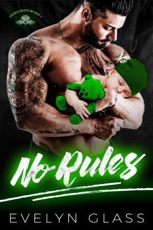 Cover of the book No Rules by Paula Cox