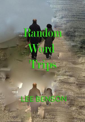 Cover of the book Random Word Trips by Stephen Dailly