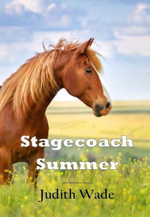 Cover of the book Stagecoach Summer by Robert J. Morris