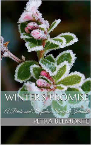 Cover of the book Winter's Promise by Petra Belmonte