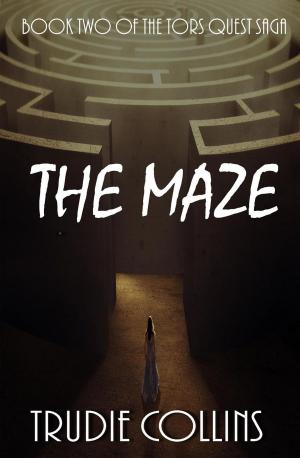 Cover of the book The Maze by DJ Chamberlain
