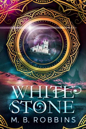 bigCover of the book White Stone by 