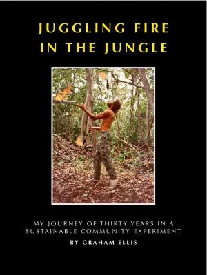 Cover of the book Juggling Fire in The Jungle - My Journey of Thirty Years in a Sustainable Community Experiment by Rod Haines