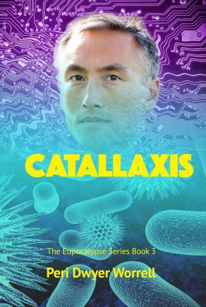 Cover of the book Catallaxis by Robert Nathan