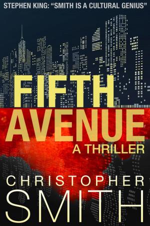 Cover of the book Fifth Avenue by C. K.  Prothro