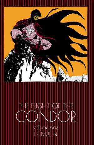Book cover of The Flight of the Condor