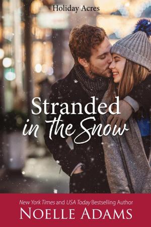 Book cover of Stranded in the Snow