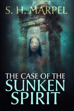 bigCover of the book The Case of the Sunken Spirit by 
