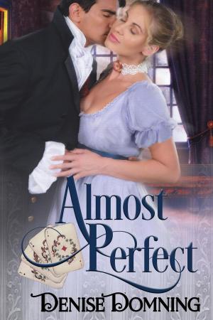 Cover of the book Almost Perfect by Tanya Bird