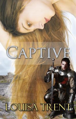 Cover of the book Captive by Janet Lane
