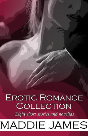 Cover of the book Erotic Romance Collection by Christine d'Abo