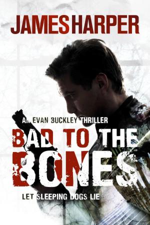 Cover of the book Bad To The Bones by Bojan Zecevic