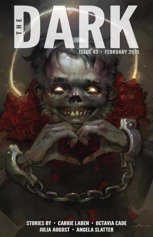 Book cover of The Dark Issue 45