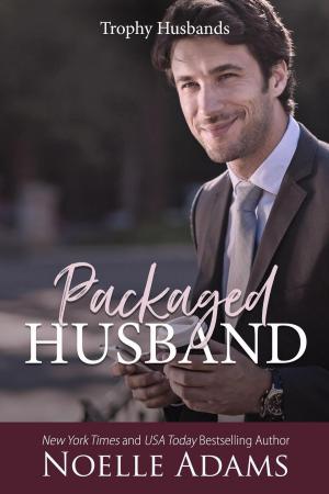 Book cover of Packaged Husband