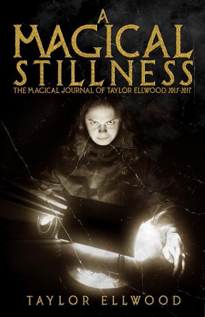 Cover of A Magical Stillness: The Magical Journals of Taylor Ellwood 2015-2017