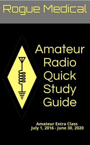 Cover of Amateur Radio Quick Study Guide: Amateur Extra Class, July 1, 2016 - June 30, 2020