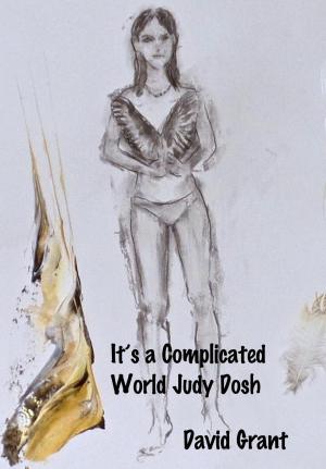 Cover of the book It's a Complicated World Judy Dosh by Steve Mayhew