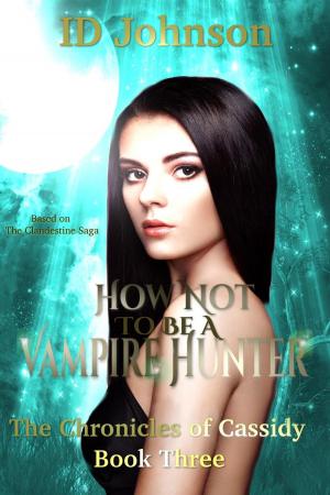 Cover of the book How Not to Be a Vampire Hunter by Robbie Cox