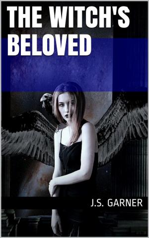 Cover of The Witch's Beloved