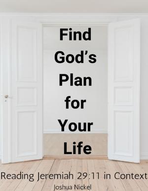 Book cover of Find God’s Plan for Your Life - Reading Jeremiah 29:11 in Context