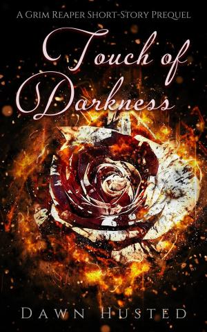 Cover of the book Touch of Darkness by J.R. Glenn