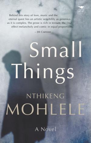 bigCover of the book Small Things by 