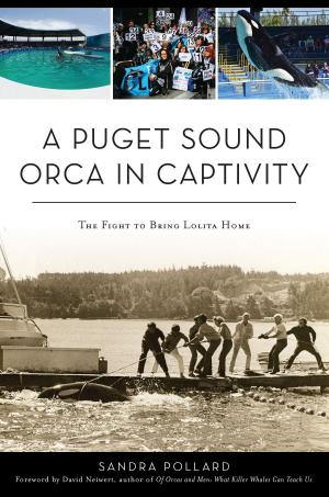 Cover of the book A Puget Sound Orca in Captivity by Sarah White