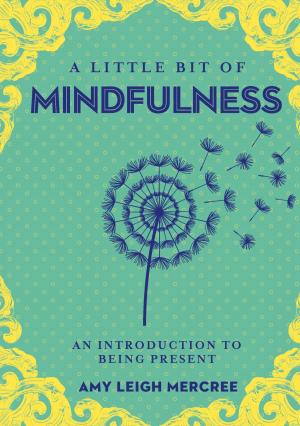 Cover of the book A Little Bit of Mindfulness by Amy Zerner, Monte Farber