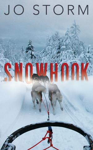 Cover of the book Snowhook by Adam Mayers