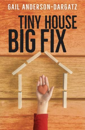 Book cover of Tiny House, Big Fix