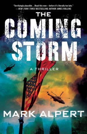Cover of the book The Coming Storm by Dan Van Werkhoven
