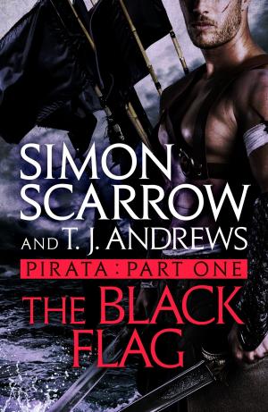 Book cover of Pirata: The Black Flag