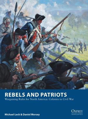 Cover of the book Rebels and Patriots by James Riordan