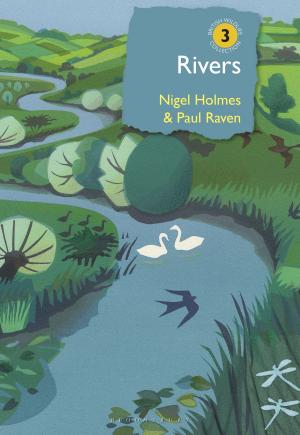 Cover of the book Rivers by Professor Jan Blommaert