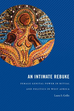 Cover of the book An Intimate Rebuke by Julyan G. Peard