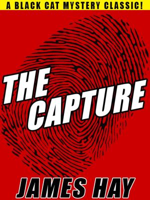 Cover of the book The Capture by Thomas B. Dewey