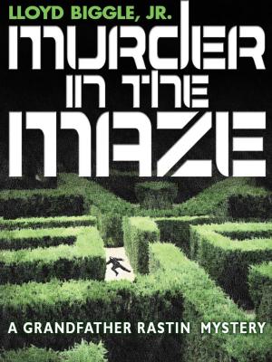 Book cover of Murder in the Maze
