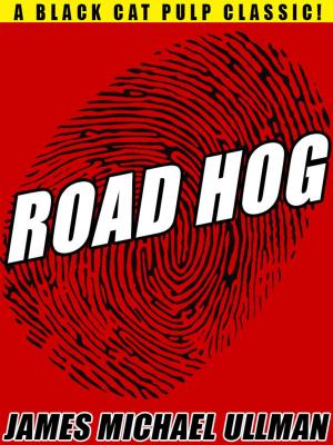 Cover of the book Road Hog by James Holding
