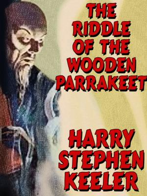 Book cover of The Riddle of the Wooden Parrakeet