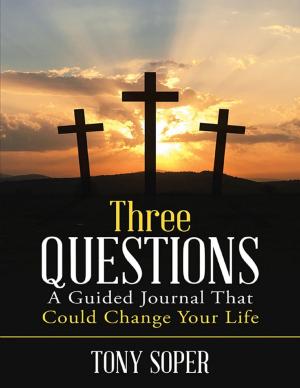 Cover of the book Three Questions: A Guided Journal That Could Change Your Life by Brandon Christopher