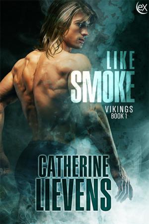 Cover of the book Like Smoke by Gina Wilkins