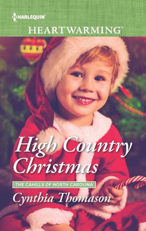 Cover of the book High Country Christmas by Amanda Stevens