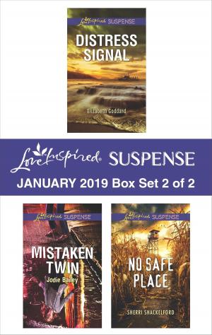 Book cover of Harlequin Love Inspired Suspense January 2019 - Box Set 2 of 2