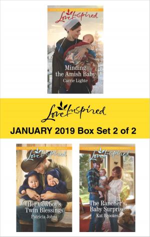 Cover of the book Harlequin Love Inspired January 2019 - Box Set 2 of 2 by Lynette Eason, Shirlee McCoy, Lenora Worth