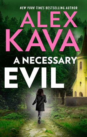 Cover of the book A Necessary Evil by Rita Barnes